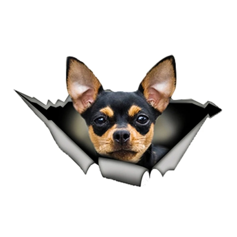

13cm X 8cm Personality Black and Tan Chihuahua Car Sticker Car Window Accessories Cover Scratches Reflective PVC 1 Pcs
