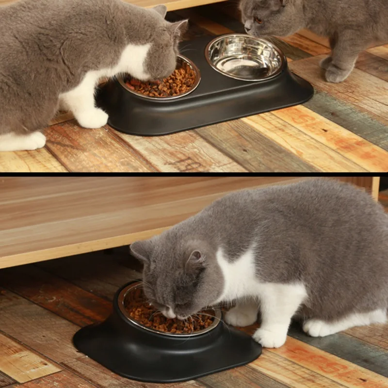 

Pet Feeder Dog Cat Stainless Steel Food Bowl 15slanted Non-slip Feeding Container Neck Protection Double Bowl 2021 New