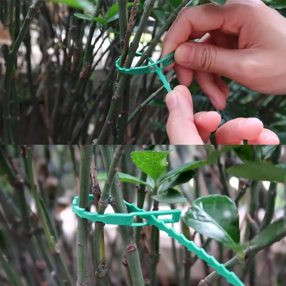 31 шт. зажимы для растений прочный многоразовая сад в виде вьющегося стебля с