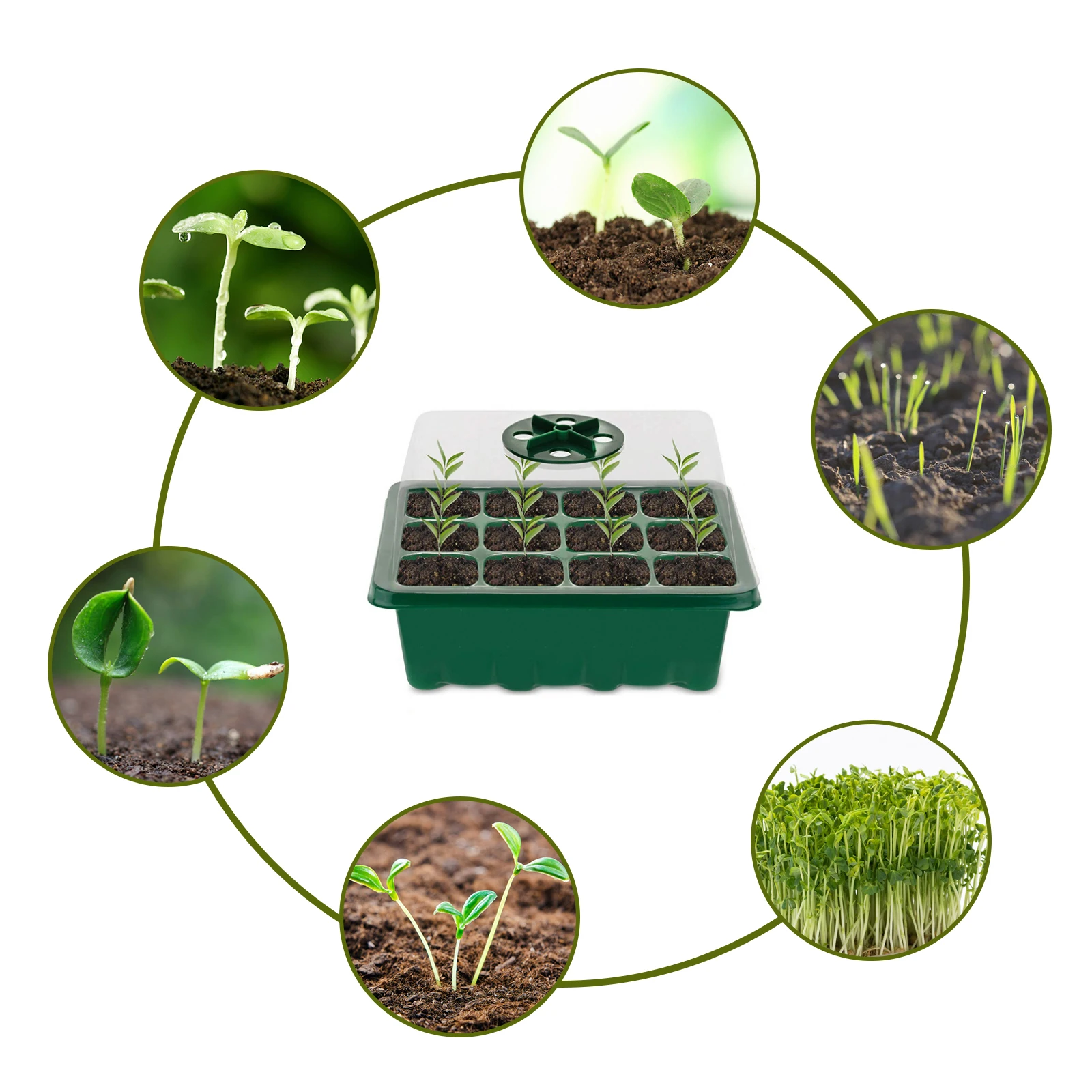 3 шт. выращивания рассады набор лотков горшки для посадки семян клетки семенной