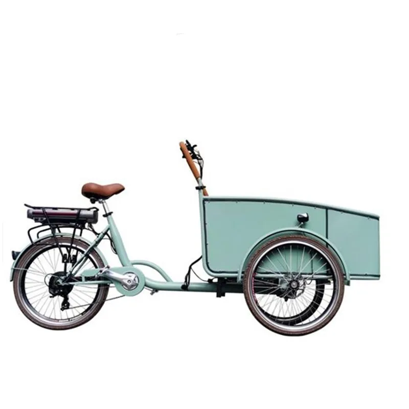 

Blue Color Pedal Electric Dutch Adult Tricycle Cargo Bike Street Vending Cart for Sale Customizable