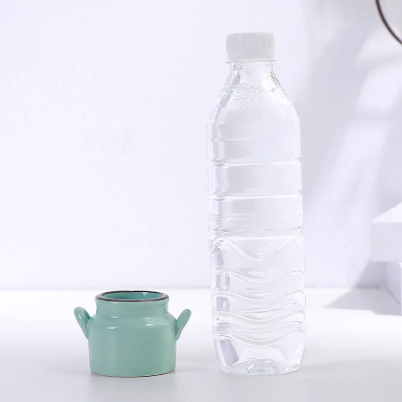 Цветочный горшок креативный мясистый цветочный домашний декор для цветов