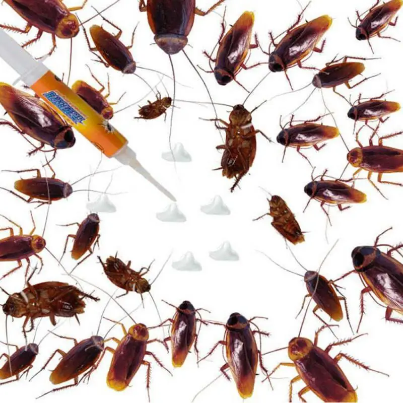 Гель для уничтожения тараканов яд средство устранения муравьев безопасный