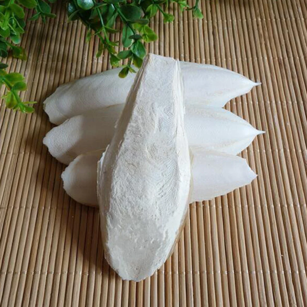 

10cm Desalting Cuttlebone Pet Training Chew Molar for Dog Cat Parrot
