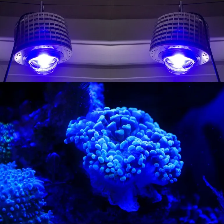 Светодиодный аквариум освещение полный спектр 100w CREE LED лампа для морских