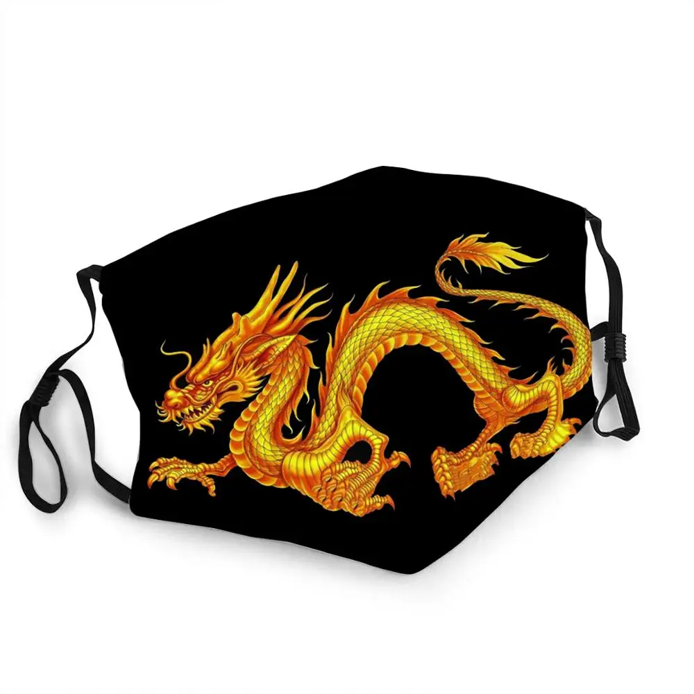 

3D printed Dragon training mask China Dragon mask with PM2.5 filter washable mouth mask street hip-hop custom mask