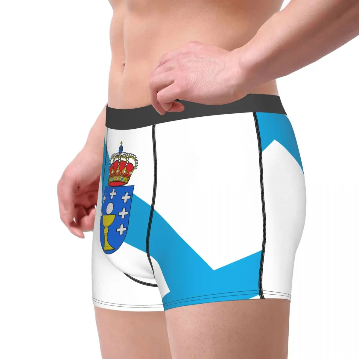 Flag Of Galicia Men's Boxer Briefs Flags of the autonomous communities of Spain Humor Graphic elastic pants for men