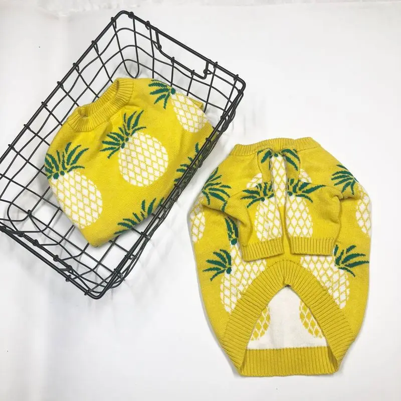 Зимняя одежда для домашних животных собак щенков Костюмы панель в форме