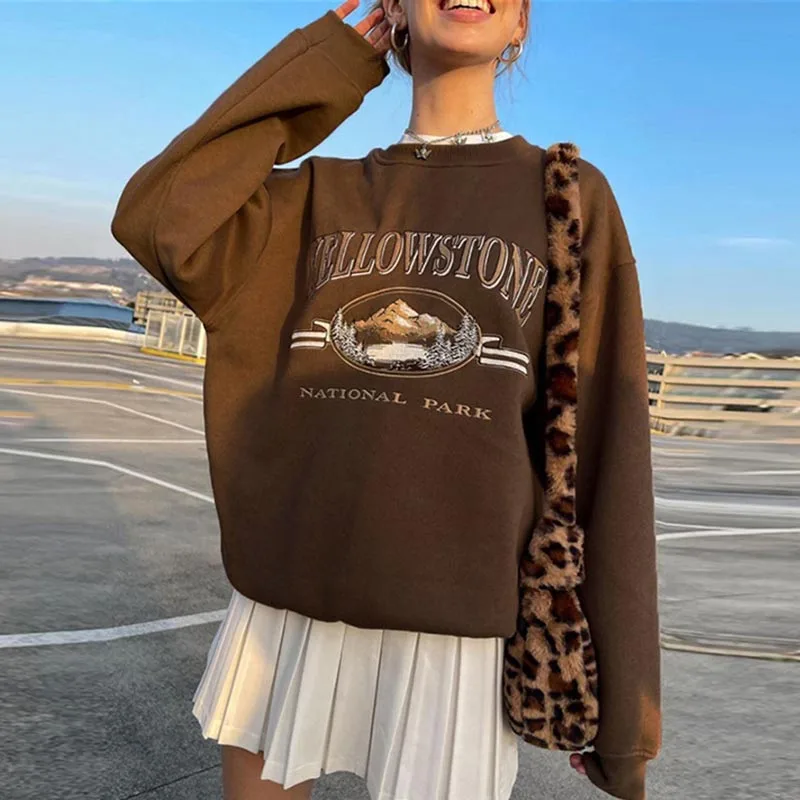 

Зимние свободные пуловеры с длинным рукавом и круглым вырезом, наряды, корейские толстовки с надписью, свитшоты