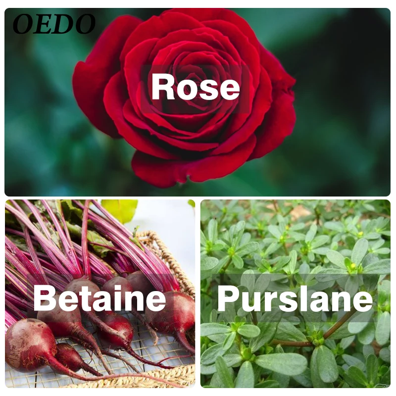 Розовая эмульсия содержит гексапептиды сыворотки против старения уход за кожей