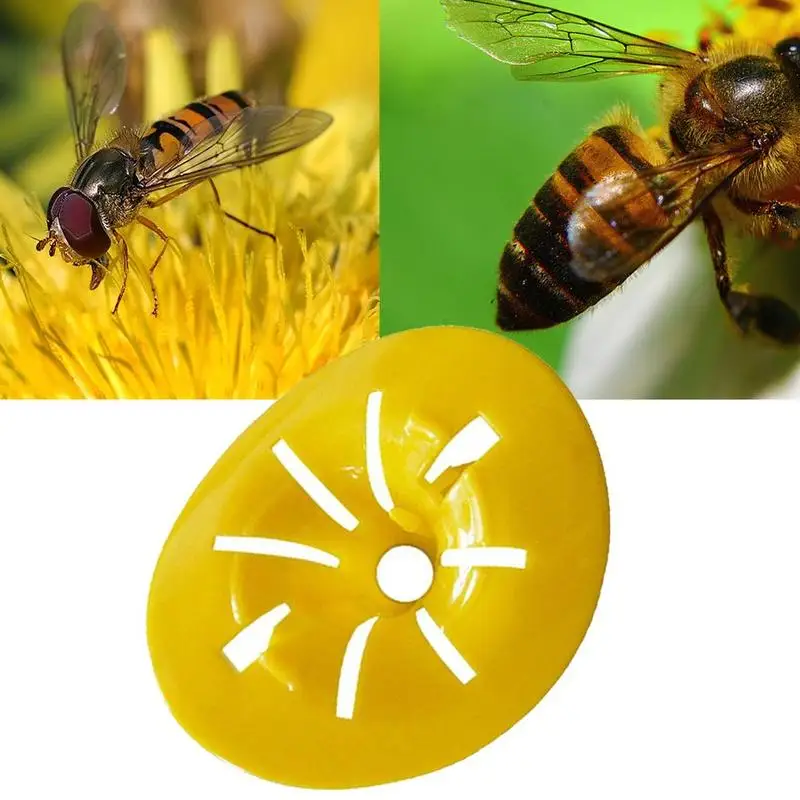 

Wasp Trap Insect Trap DIY Wasp Fly Catcher Control Flower Shaped Bee Trap Reusable New Plastic Bottle Funnel Killer