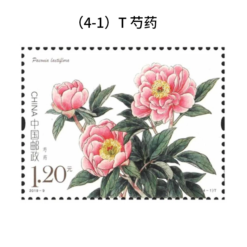

New 2019-9 "Peony" Special Stamp Package Collection Sifang Coupon Tickets