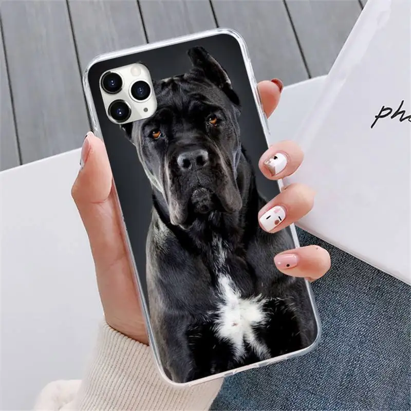 

Pit Bull Lovely Pet Dog Pitbull Phone Case For iphone 12 5 5s 5c se 6 6s 7 8 plus x xs xr 11 pro max mini