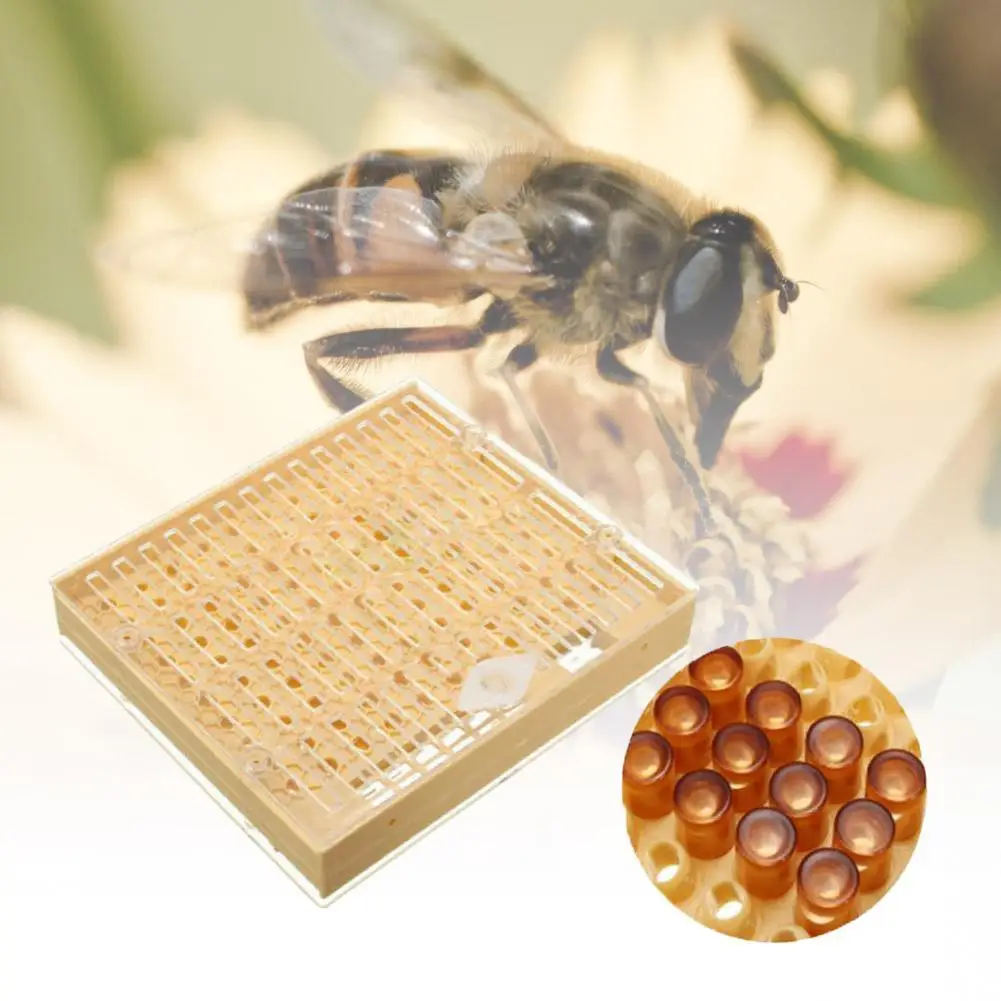 

Bees Tools Cages King Queen Rearing Cup Kit System Bee Beekeeping Box Nicot Catcher Complete Cell Cups Kit Cage Q2B0