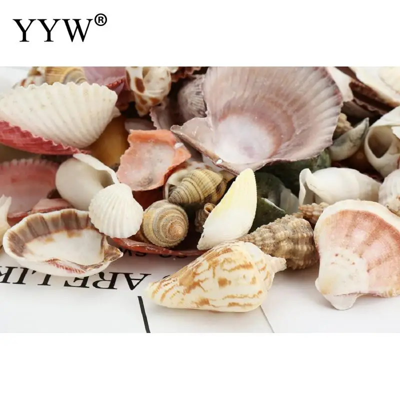 150 шт./пакет смешанные морские раковины Schelpen Coquillage Conchas Shell для украшения дома декоративный Вавилон морской домашний Морской Декор