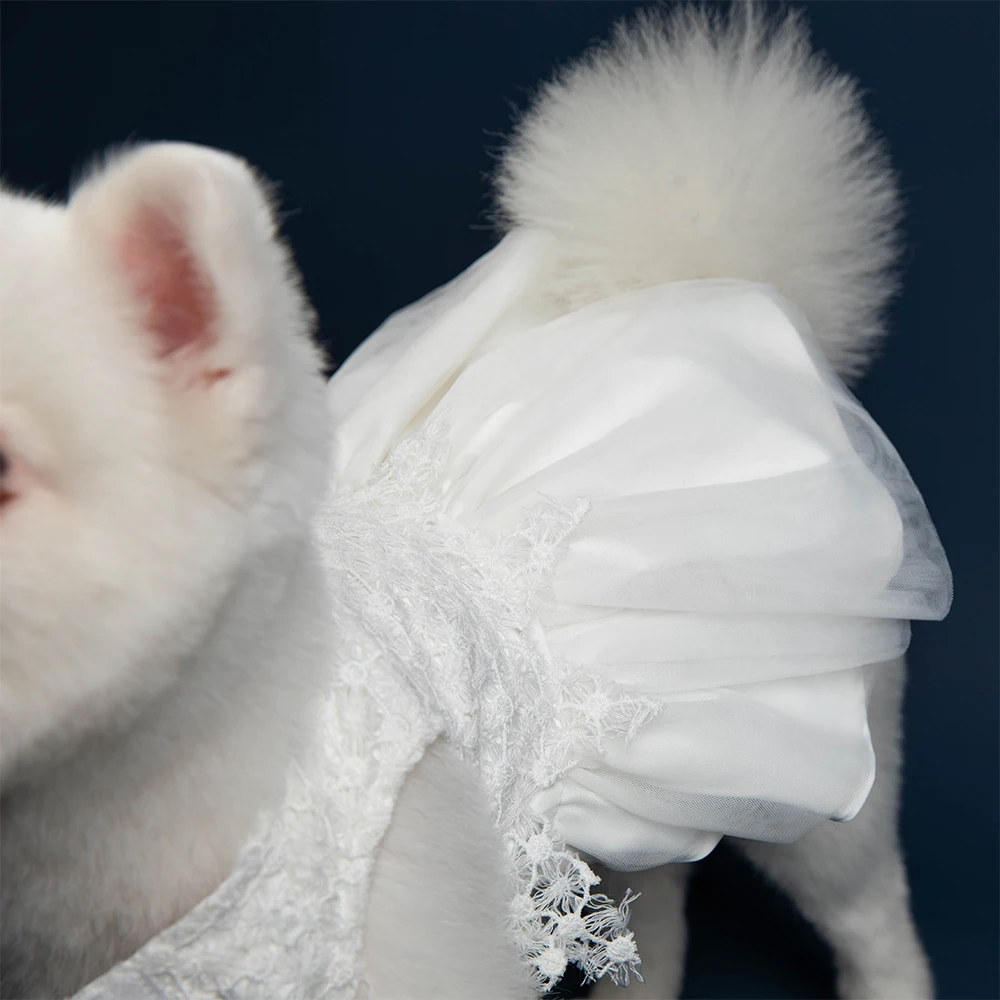UFBemo платье для собаки костюм кошки рождества свадьбы вечеринки белое кружево
