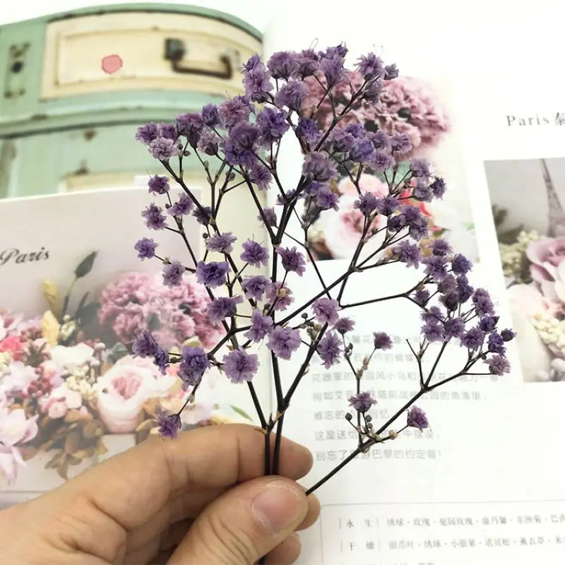 

1Pcs Natural Fresh Dried Preserved Flowers Gypsophila Paniculata Baby Breath Flower Bouquets Gift for Wedding Home Decoration