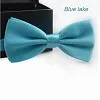 Lake Blue 14 цветов, Классическая мода, новинка, мужской регулируемый смокинг, Свадебный галстук-бабочка, галстук-бабочка, однотонный цвет, розовый, синий, красный, цвета шампанского - Цвет: Lake Blue