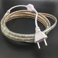 smd 5050 ac220v led strip flexible light 60ledsm waterproof led tape led light with power plug 1m2m3m5m6m8m9m10m15m20m