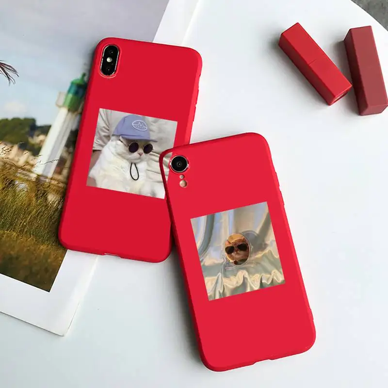 

Cute cat Phone Case Red Candy Color for iPhone 6 7 8 11 12 s mini pro X XS XR MAX Plus