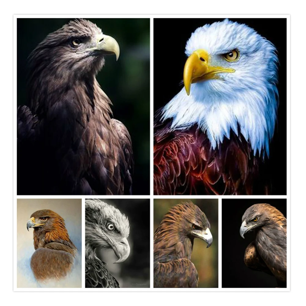 

5D алмазная живопись, полный круг, ястреб, Орл, сокол, Алмазная мозаика, вышивка, животное стразы, картина, домашний декор