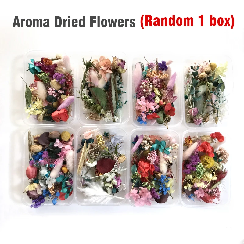 1 коробка красочные настоящие сухие цветы завод солнечной энергии для