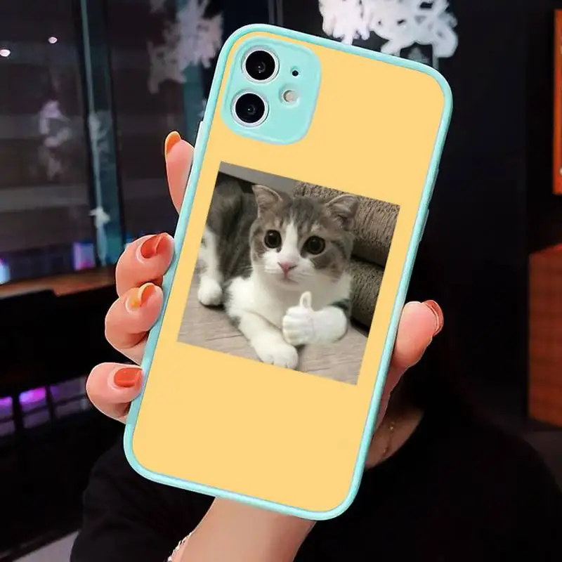 

Cute Animal Cat Phone Case For iPhone 12 11 Mini Pro XR XS Max 7 8 Plus X Matte transparent blue Back Cover