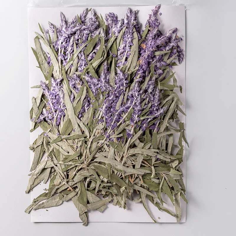 250 шт. искусственные цветы Salvia великолепная var.atropurpura гербарий для макияжа
