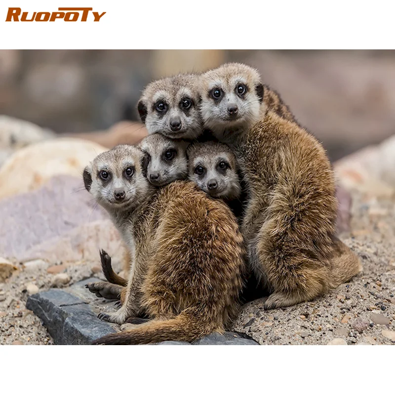 

RUOPOTY 5D DIY Diamond Embroidery Animal Mosaic Full Square Drill Diamond Painting Mongoose Cross Stitch Kits Decor For Home