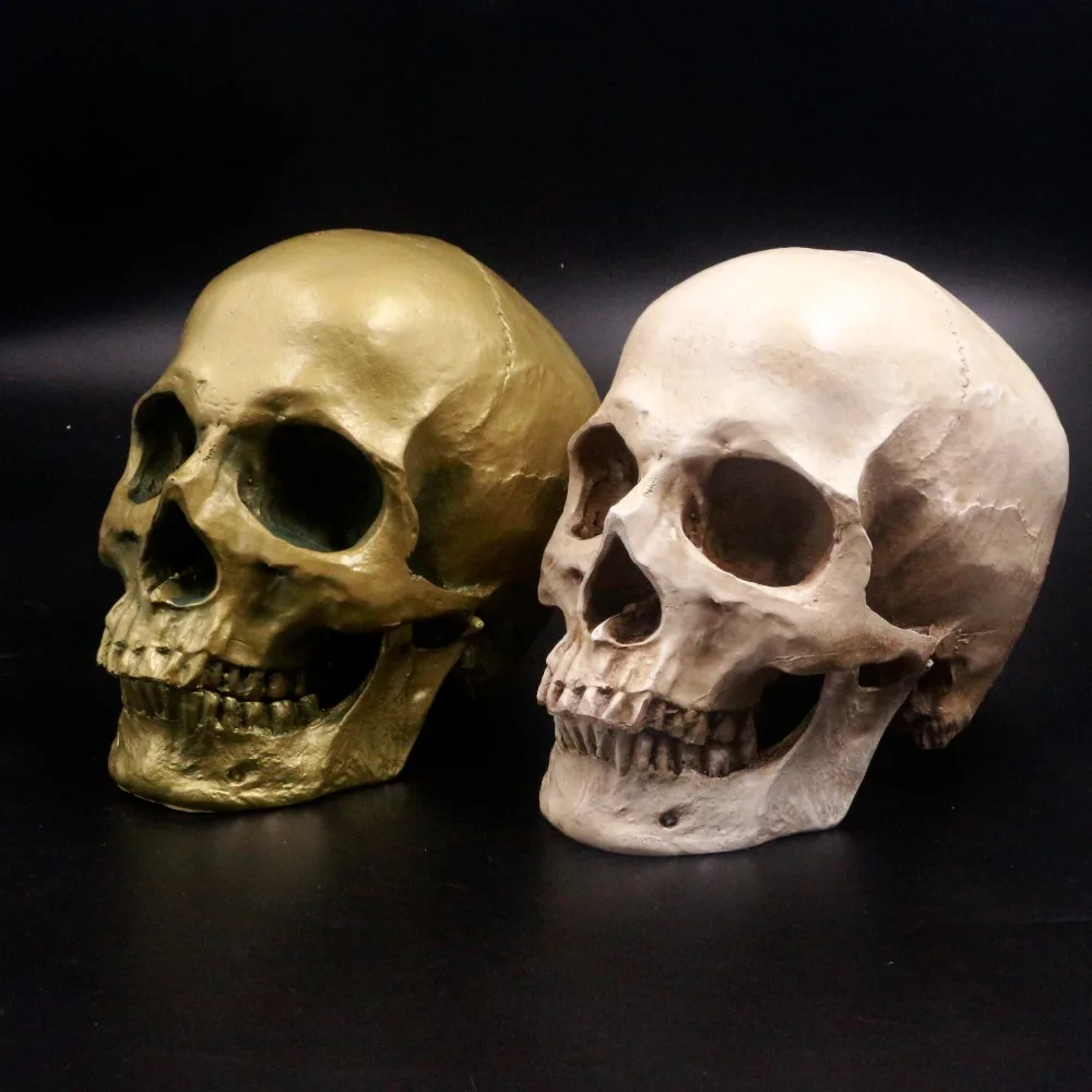 

Human Skull Lifesize 1:1 Resin Replica Medical Model Aquarium Ornament Fish Tank Waterscape Cave Halloween Home Decoration