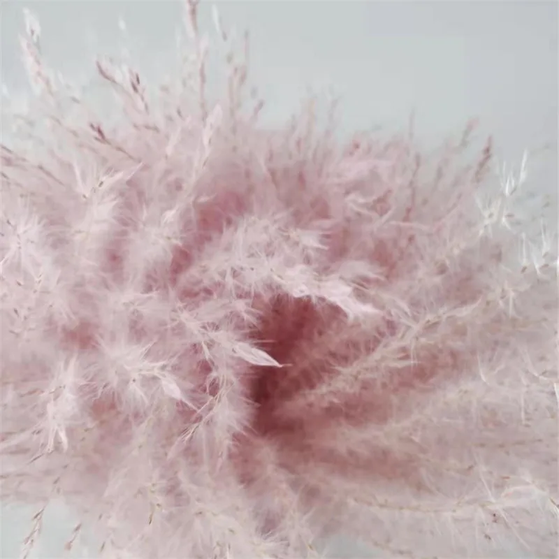 20 шт. свадебный Декор цветок розовый пампасы трава натуральный сухой букет цветы