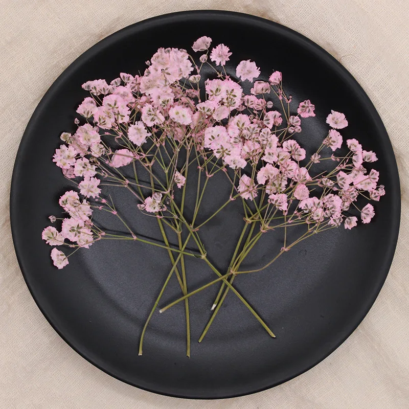 Натуральные сушеные цветы тиснение Botany образец Diy клей ручной оболочки Ароматерапия Свеча фоторамка активность материал наука - Цвет: dyeing powder