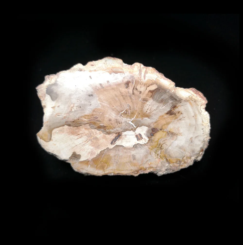 

Натуральный камень 87 г C2-3, дерево, ископаемый минеральный кристалл, образец, украшение для дома из Мадагаскара