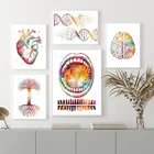 Художественные плакаты с изображением Человека, сердца, мозга, диаграммы зубов, коленей, костей, холст, живопись, ДНК, дерево, настенные картины, доктор, офис, Декор