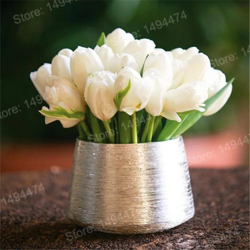 100pcs Tulip flores White Blue Purple mixed color Flower plantas bonsai flower plante colorful plants for home garden