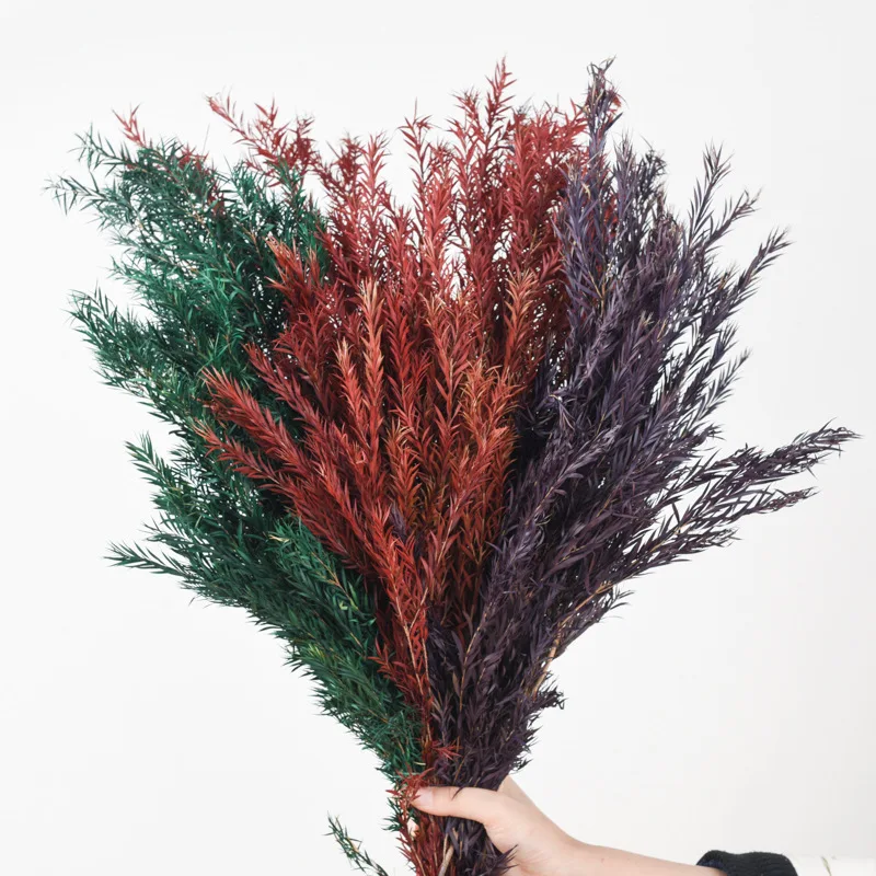 

Direct Selling Hot Sale Green Plants Melaleuca Gold Eternal Flower Valentine's Day Birthday Gift DIY Material Party Wedding