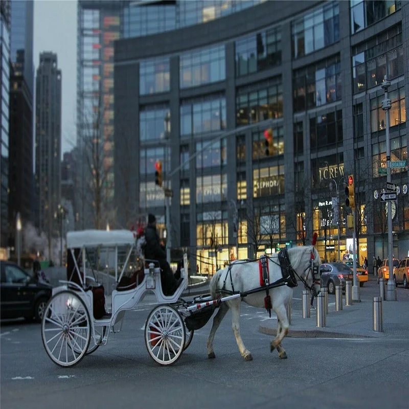 Фон для фотографий Nitree фотостудия улица Нью-Йорка здание каретки | Электроника