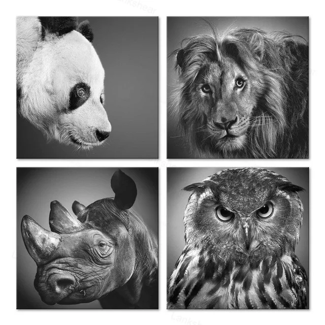4 Панель Wall Art птица черный Какаду Темно-синие попугай мультфильм животных