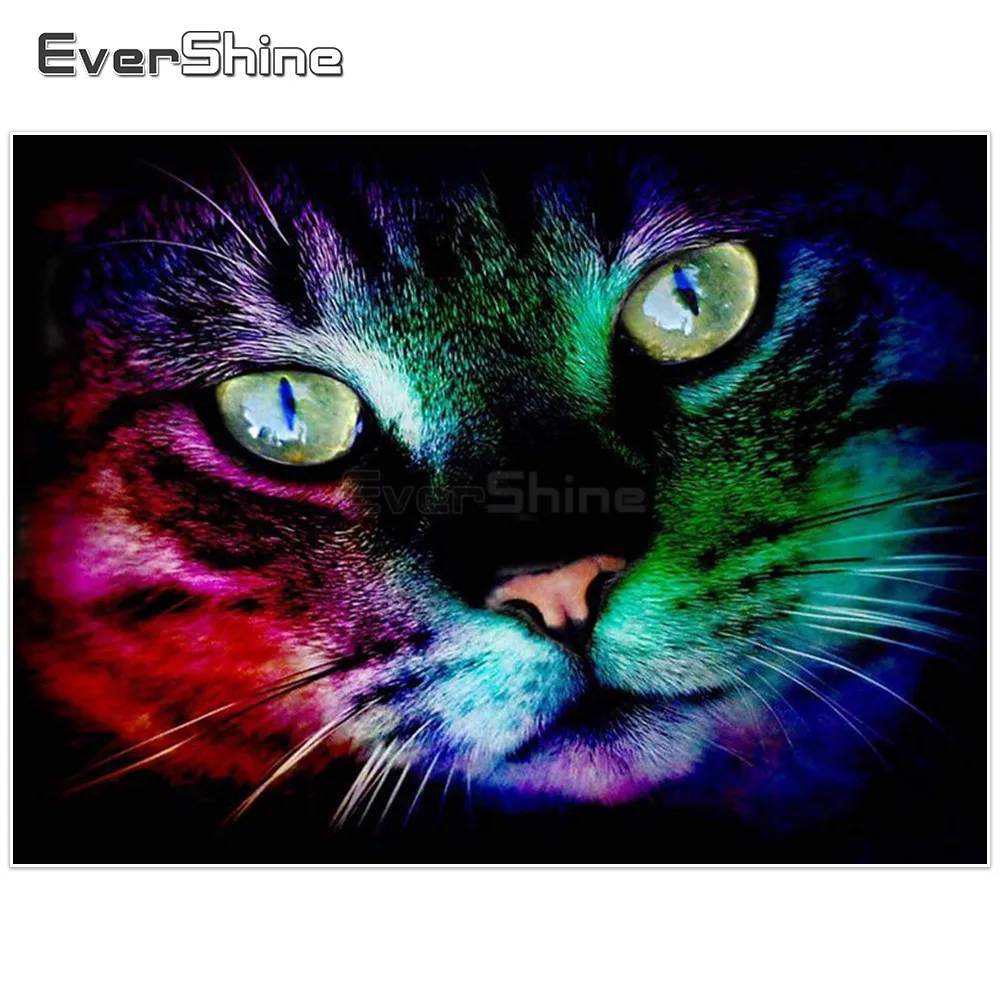 EverShine DIY 5D алмаз живопись полный площадь Алмазная мозаика вышивки крестом со