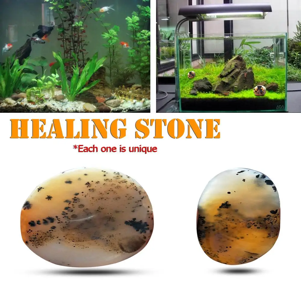 Природные водные растения агат натуральное минеральное украшение лечебный