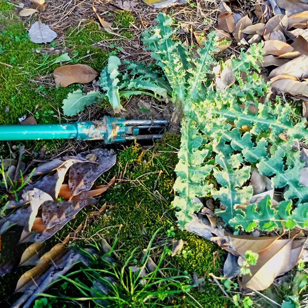 

2020 Hot Sale Portable Weeder Stand up Manual Weeder Triangle Root Ripper Weeding Gardening Tool Stainless Steel Weeding Tool