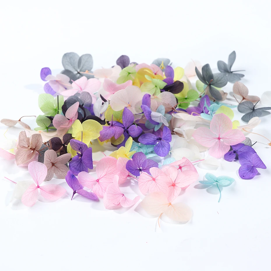 100pcs Fasting Dried Flowers 3D Nail Art Decorations Natural Floral Sticker Charms Nail Designs UV Gel Polish Accessories BE1505