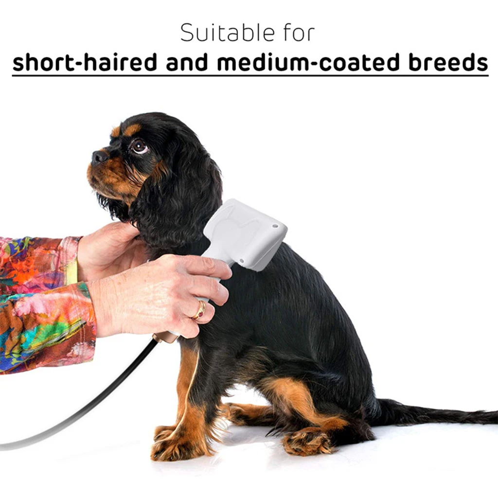 

Electric Pet Hair Dryer Brush Portable Dog Blow Dryer 3 Gear Adjust Low Noise Detachable Comb EU Plug