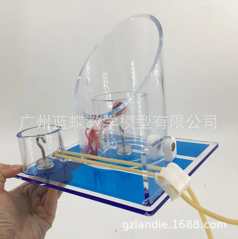 Хирургическая модель для обучения сосудистым узлом хирургическим медицинские