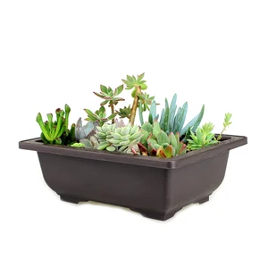 Горшок-кашпо с подносом, пластиковый горшок для суккулента, маленький горшок для цветов украшения для балкона бонсай, Садовые принадлежности 35