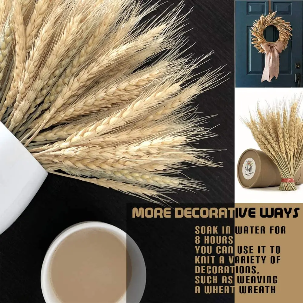 

100Pcs/lot Natural Real Wheat Ear Dried Flowers for Wedding Party Decoration Dry Grass Bunch Home Room Decor Wheat Bouquet