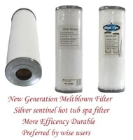 silver sentinel filter combined with some non chlorine oxidizer good solution cuts down on chemicals and maintenance