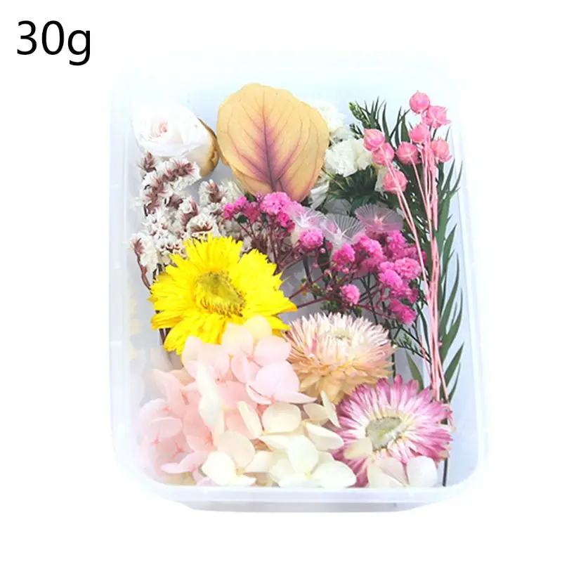 

1 Box Real Mix Dried Flowers for Resin Jewellery Dry Plants Pressed Flowers Making Craft DIY Accessories