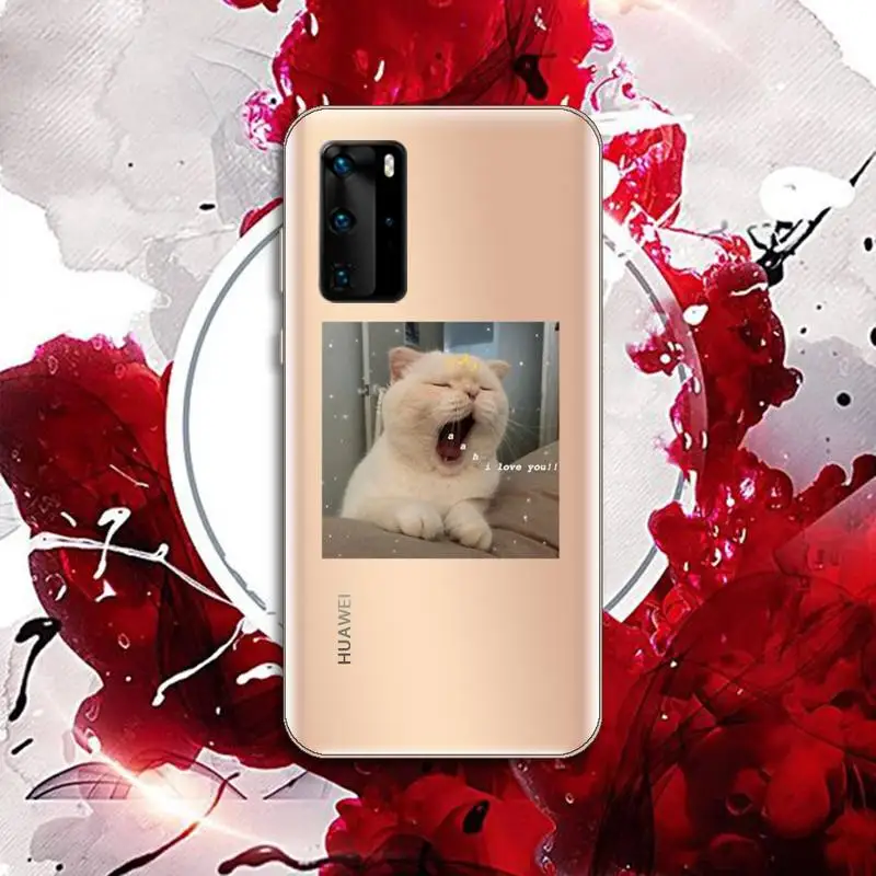 

Cute animal cat art design Phone Case Transparent for Huawei P honor 8 10i 20 30 40 smart 2019
