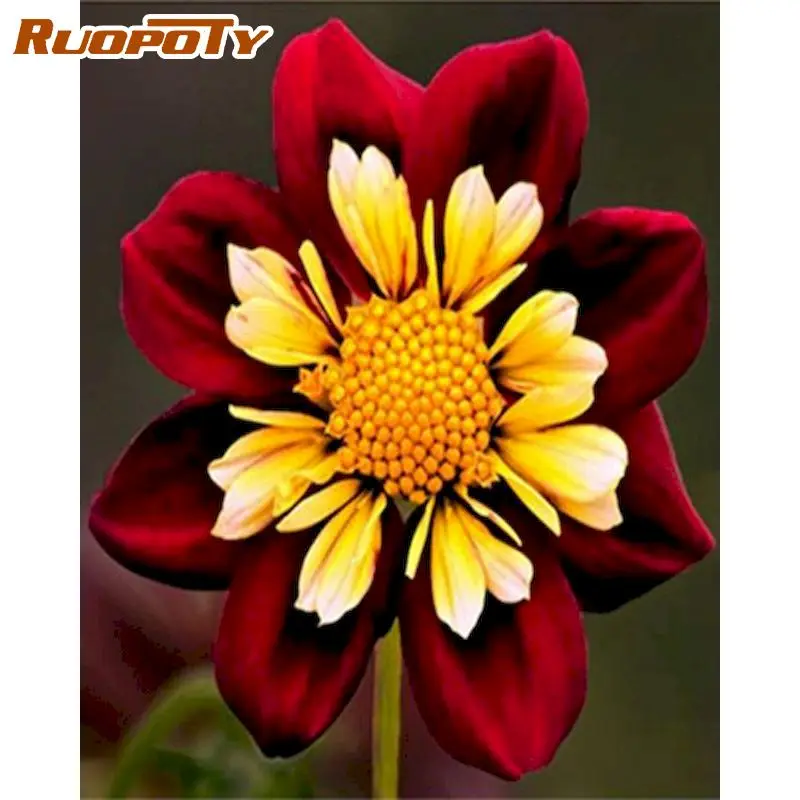 

RUOPOTY Масло Набор для рисования по номерам для взрослых детей красный цветок картина по номерам Diy подарок 40х50 см Обрамленная Картина на холс...